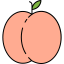 Peach icon 64x64