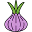 Onion icon 64x64