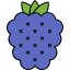 Grape 상 64x64