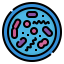 Bacteria biểu tượng 64x64