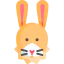 Rabbit icon 64x64