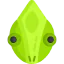 Chameleon icon 64x64