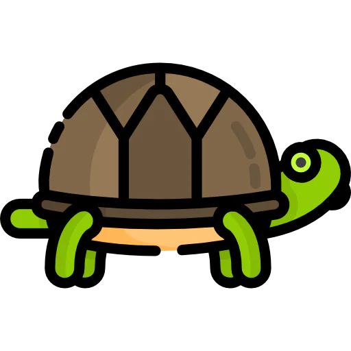 Turtle icon