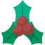 Mistletoe 图标 64x64