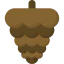 Pine nut іконка 64x64