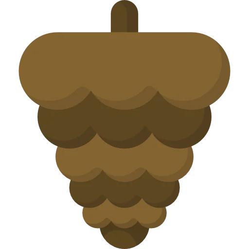 Pine nut icon