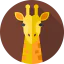 Giraffe Ikona 64x64