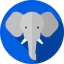 Elephant Ikona 64x64