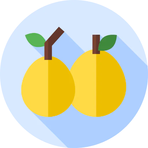 Marula icon