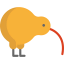 Kiwi icon 64x64