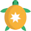 Turtle icône 64x64