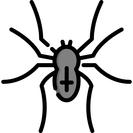 Spider icon