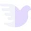 Dove icon 64x64