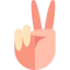 Victory icon 64x64