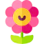 Flower icon 64x64