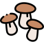 Mushroom icon 64x64