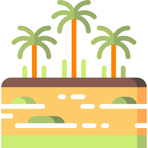 Rainforest icon
