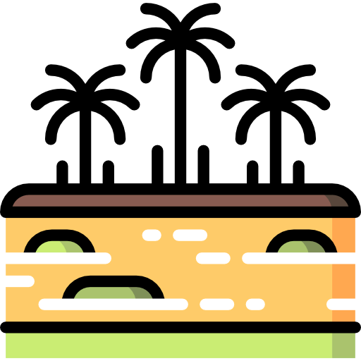 Rainforest icon