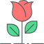 Rose icon 64x64