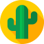 Cactus icon 64x64