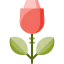 Rose icon 64x64