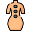 Lithotherapy アイコン 64x64