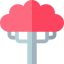 Magnolia icon 64x64
