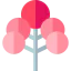 Sakura icon 64x64