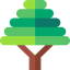 Bonsai icon 64x64