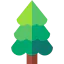 Tree icon 64x64