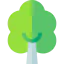 Birch tree icon 64x64
