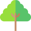 Banyan icon 64x64