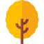 Linden icon 64x64