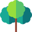 Cinnamon tree icon 64x64