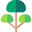 Tree icon 64x64
