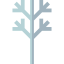Tree branch icon 64x64
