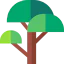 Sequoia icon 64x64