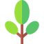 Tree icon 64x64