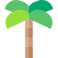 Palm tree Ikona 64x64