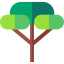 Olive icon 64x64