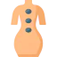Lithotherapy アイコン 64x64