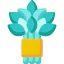 Banyan icon 64x64