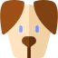 Dog icon 64x64