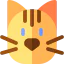 Cat icon 64x64