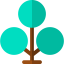 Family tree icon 64x64
