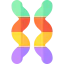 Gummy icon 64x64