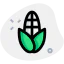 Corn icon 64x64