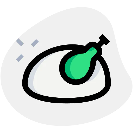 Turkey icon