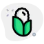 Maize icon 64x64
