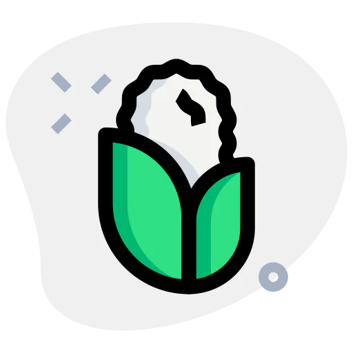 Maize icon